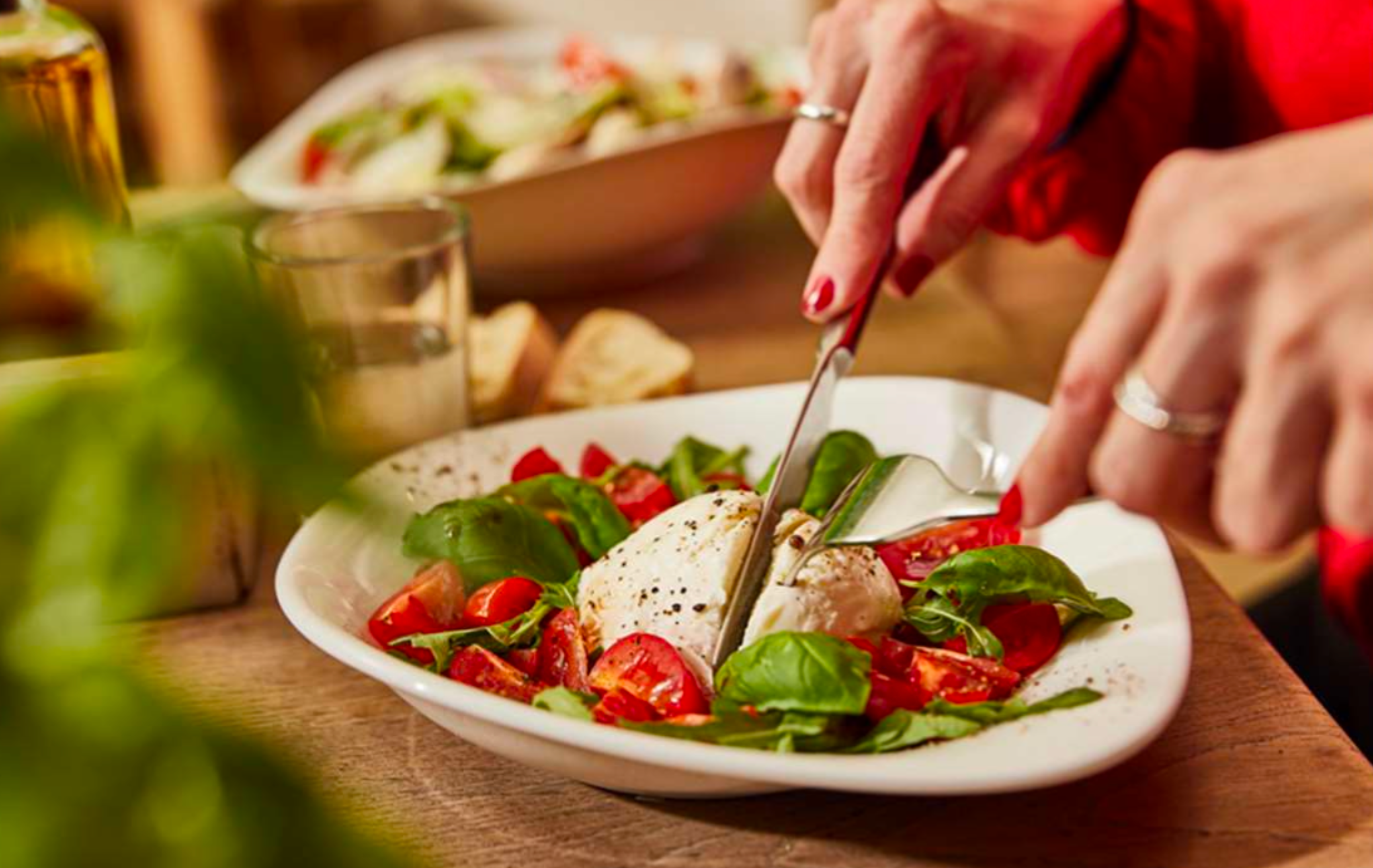 Fresh caprese salad with burrata, tomatoes and basil at Vapiano